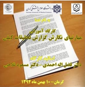 qualitative report skills workshop
