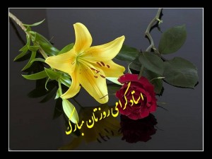 roze moalem mobarak